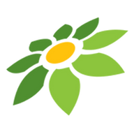 APK WINK MOD